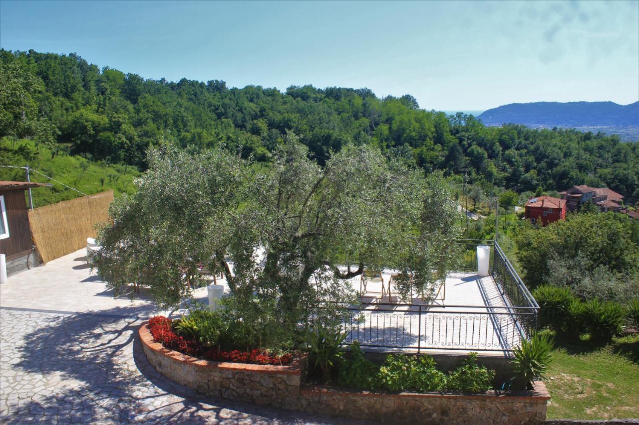 Villa Fattoria Cristina Bilo Rosa Castelnuovo Magra Exterior foto